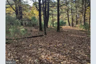 7 Community Pond Drive, Catawissa, PA 17820 - Photo 28