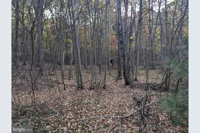 7 Community Pond Drive, Catawissa, PA 17820 - Photo 42