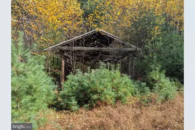 7 Community Pond Drive, Catawissa, PA 17820 - Photo 36