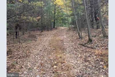 7 Community Pond Drive, Catawissa, PA 17820 - Photo 22