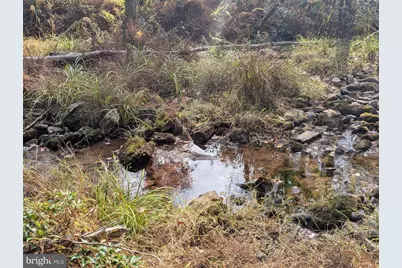 7 Community Pond Drive, Catawissa, PA 17820 - Photo 54