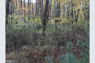 7 Community Pond Drive, Catawissa, PA 17820 - Photo 66