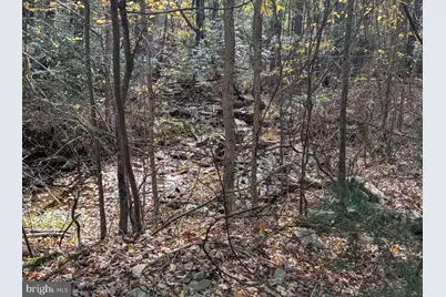 7 Community Pond Drive, Catawissa, PA 17820 - Photo 62