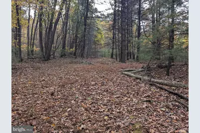 7 Community Pond Drive, Catawissa, PA 17820 - Photo 24