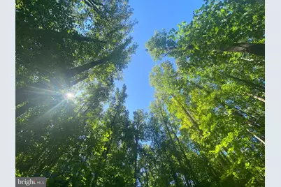 1816 Pottstown Pike #LOTS 2&3, Glenmoore, PA 19343 - Photo 10