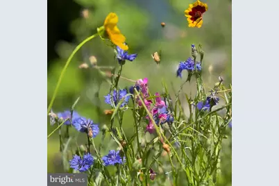 57-59 Schuylkill Avenue, Pottstown, PA 19465 - Photo 32