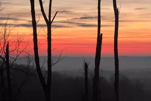 498 Major John Way, Malvern, PA 19355 - Photo 64