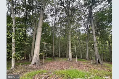 547 Webb Road - Rd, Chadds Ford, PA 19317 - Photo 62