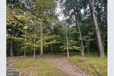 547 Webb Road - Rd, Chadds Ford, PA 19317 - Photo 60