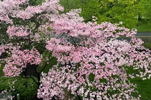 1705 Mountainview Dr, Chesterbrook, PA 19087 - Photo 4