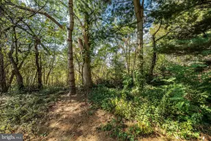 408 Green Hill Rd, Parkesburg, PA 19365 - Photo 30