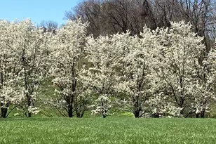 1771 Indian Run Rd, Malvern, PA 19355 - Photo 50