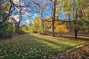 149 Park Ave, Coatesville, PA 19320 - Photo 4