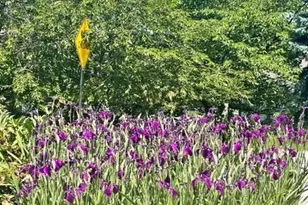 55 Wincrest Dr, Phoenixville, PA 19460 - Photo 32