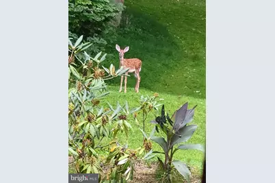 929 N Manor Road, Honey Brook, PA 19344 - Photo 42