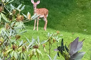 929 N Manor Rd, Honey Brook, PA 19344 - Photo 42