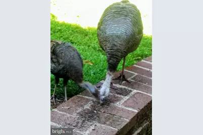 929 N Manor Road, Honey Brook, PA 19344 - Photo 40