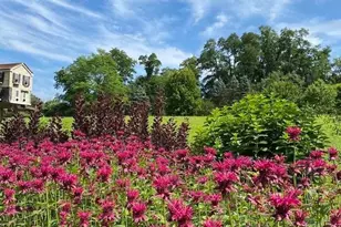 818 Burrows Run Rd, Chadds Ford, PA 19317 - Photo 86