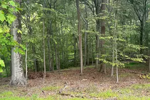 547 Webb Rd -Bd, Chadds Ford, PA 19317 - Photo 72