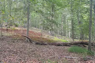 547 Webb Rd - Ad, Chadds Ford, PA 19317 - Photo 52