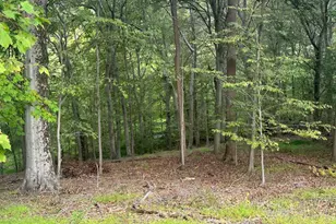 547 Webb Rd -Dd, Chadds Ford, PA 19317 - Photo 98