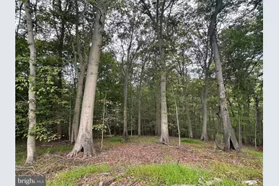 547 Webb Rd -Dd, Chadds Ford, PA 19317 - Photo 96