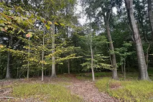 547 Webb Rd -Dd, Chadds Ford, PA 19317 - Photo 94