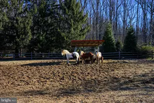 201 Pine Swamp Rd, Elverson, PA 19520 - Photo 50