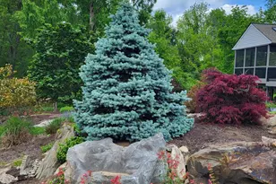 315 Martingale Cir, Coatesville, PA 19320 - Photo 64