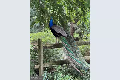 820 Waverly Road, Kennett Square, PA 19348 - Photo 46