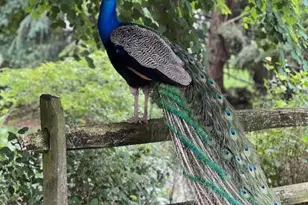 820 Waverly Rd, Kennett Square, PA 19348 - Photo 46