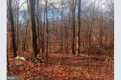 327 Hibernia Rd., Coatesville, PA 19320 - Photo 4