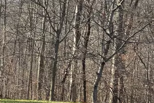 327 Hibernia Rd, Coatesville, PA 19320 - Photo 1