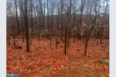 327 Hibernia Rd., Coatesville, PA 19320 - Photo 8