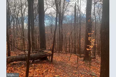 327 Hibernia Rd., Coatesville, PA 19320 - Photo 2