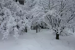 12 Phillips Ln, Chester Springs, PA 19425 - Photo 54