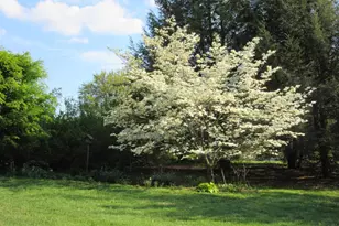 12 Phillips Ln, Chester Springs, PA 19425 - Photo 48