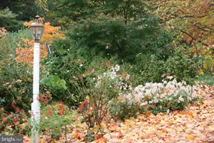 12 Phillips Ln, Chester Springs, PA 19425 - Photo 46