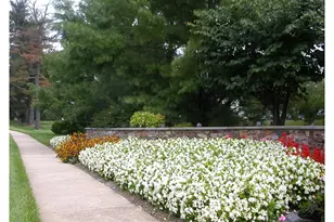 309 Newport Pl, Exton, PA 19341 - Photo 28