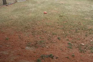 375 Schoolhouse Rd, West Grove, PA 19390 - Photo 46