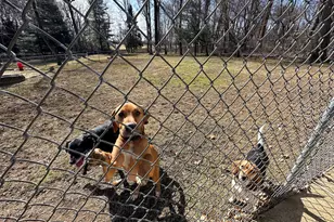 301 Corner Ketch Rd, Downingtown, PA 19335 - Photo 54