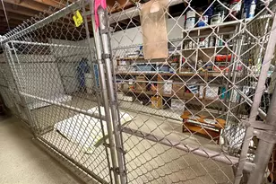 301 Corner Ketch Rd, Downingtown, PA 19335 - Photo 60