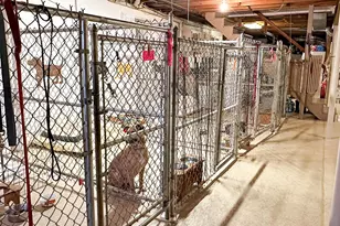 301 Corner Ketch Rd, Downingtown, PA 19335 - Photo 38