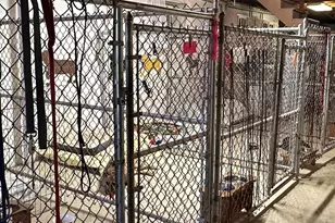 301 Corner Ketch Rd, Downingtown, PA 19335 - Photo 40