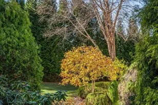 152 Grubb Rd, Malvern, PA 19355 - Photo 72