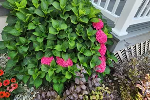 412 Aspen St, Coatesville, PA 19320 - Photo 32