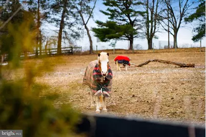 1202 W Bridge Street, Spring City, PA 19475 - Photo 40