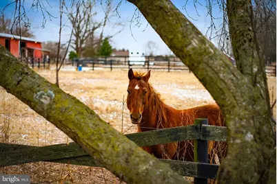 1202 W Bridge Street, Spring City, PA 19475 - Photo 38