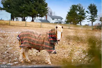 1202 W Bridge Street, Spring City, PA 19475 - Photo 42