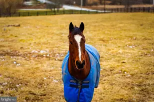 1202 W Bridge St, Spring City, PA 19475 - Photo 60